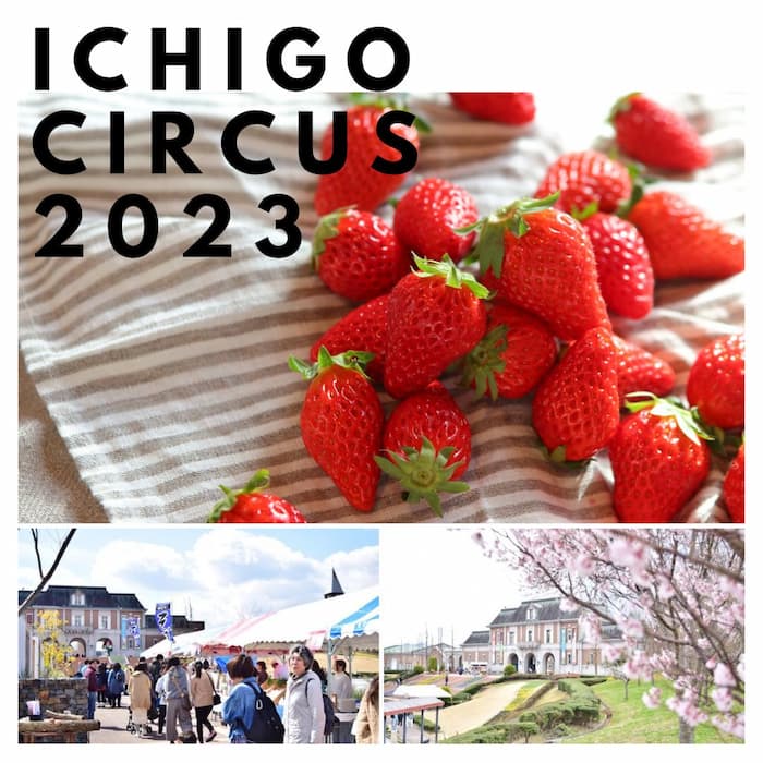 苺づくしのイベント「イチゴサーカス」開催　神戸市北区 [画像]