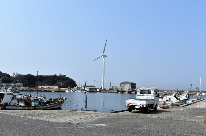 お店の前は漁港　風力発電の風車が目を魅きます