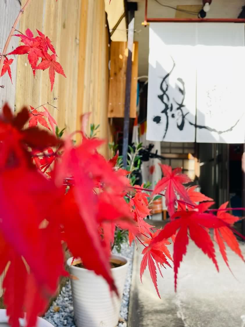 『オーガニック玄米cafe』が2月6日にリニューアルオープン　姫路市 [画像]