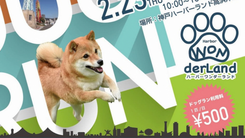 神戸ハーバーランド　ドッグラン『ハーバーワンダーランド』が今年もオープン　神戸市中央区