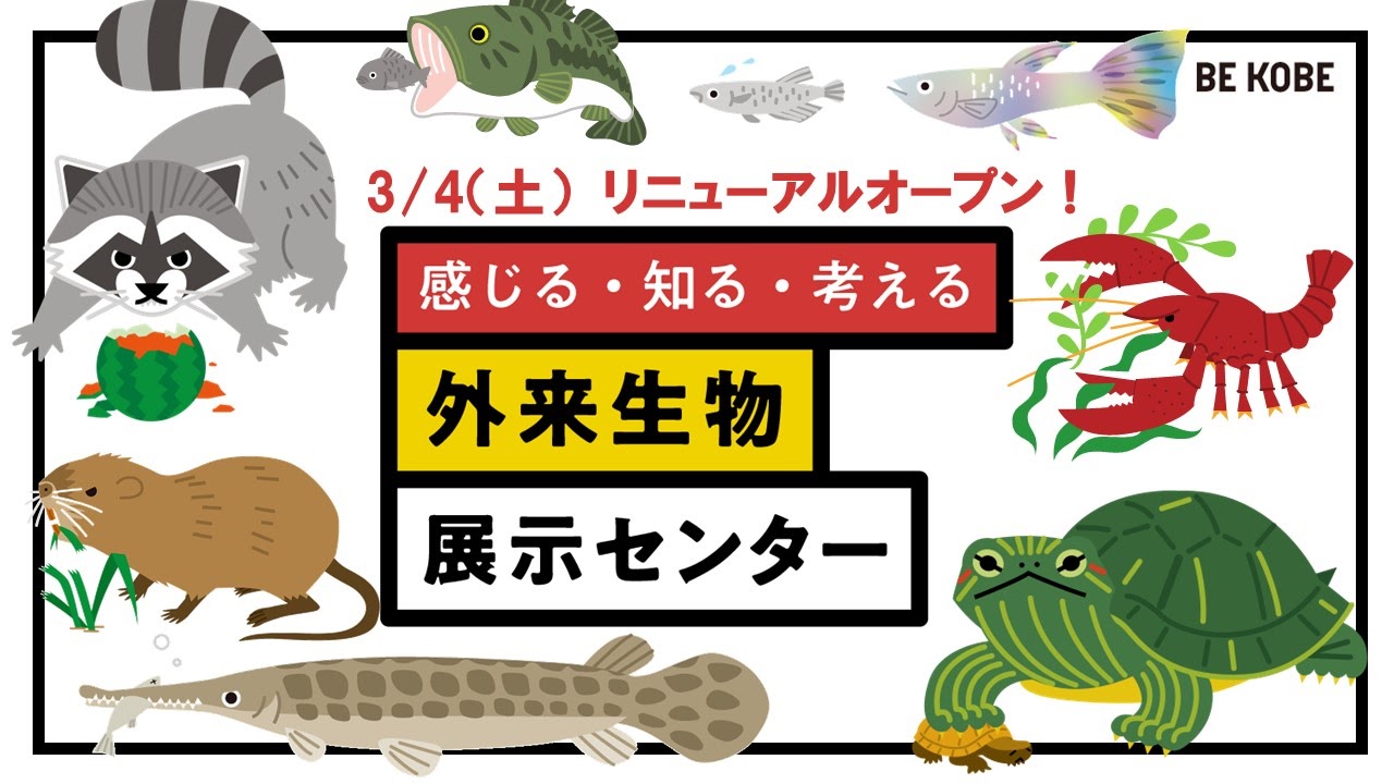 神戸市長田区の『外来生物展示センター』が3月4日にリニューアルオープン [画像]