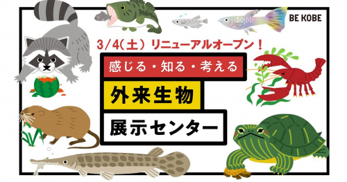 神戸市長田区の『外来生物展示センター』が3月4日にリニューアルオープン