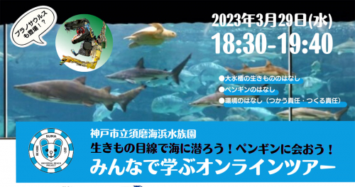 須磨海浜水族園の魚も登場！「海のリアル」を知るオンラインイベント開催