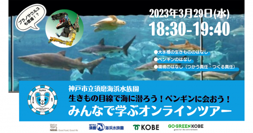 『～生きもの目線で海にもぐろう！ペンギンに会おう！～ みんなで学ぶオンラインツアー in 須磨海浜水族園』開催