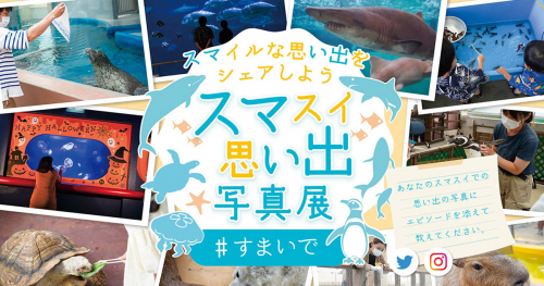 神戸市立須磨海浜水族園「スマスイ思い出写真展」の展示作品を募集中