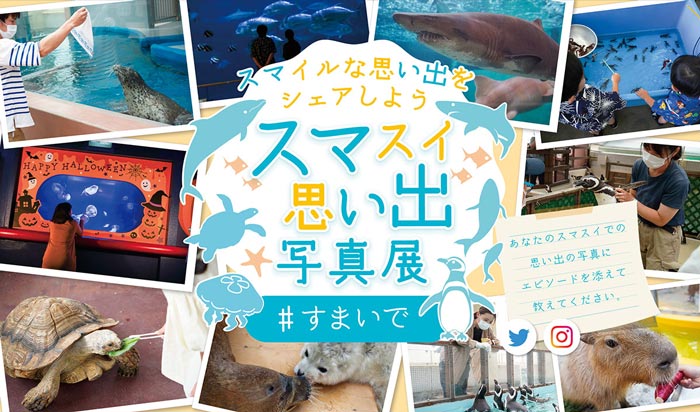 神戸市立須磨海浜水族園「スマスイ思い出写真展」の展示作品を募集中 [画像]