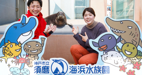 神戸市立須磨海浜水族園　イベント「アザラシと記念撮影」開催　神戸市須磨区