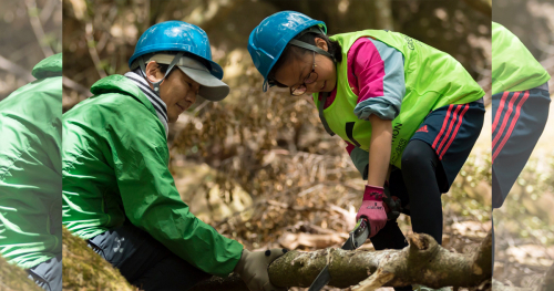 高校生以上が対象「六甲山の森づくり事業」 ボランティア募集中　芦屋市