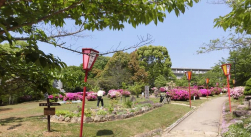 日岡山公園「花とみどりのフェスティバル」加古川市