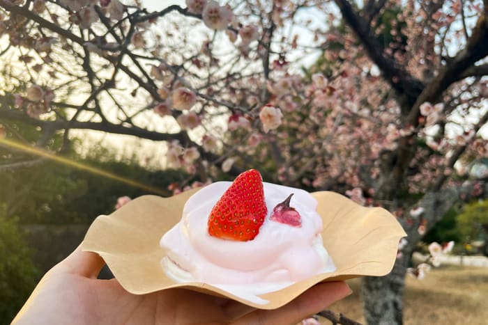 桜のイチゴショートケーキ　650円（税込）
※販売期間：3月20日～4月30日