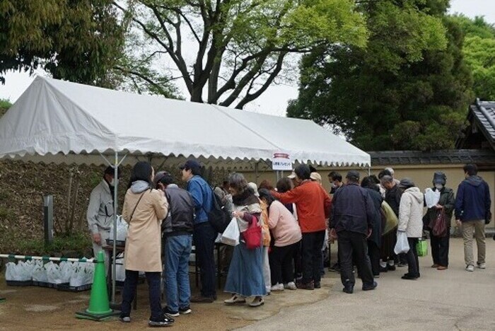 日本庭園『好古園』で「開園記念日山野草プレゼント」開催　姫路市 [画像]