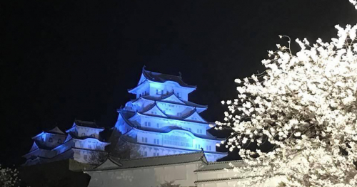 世界自閉症啓発デーに合わせ、姫路城がブルーにライトアップ　姫路市