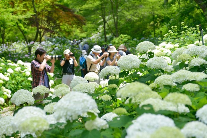 写真撮影を楽しむのもいいですね！
©一般財団法人神戸観光局
