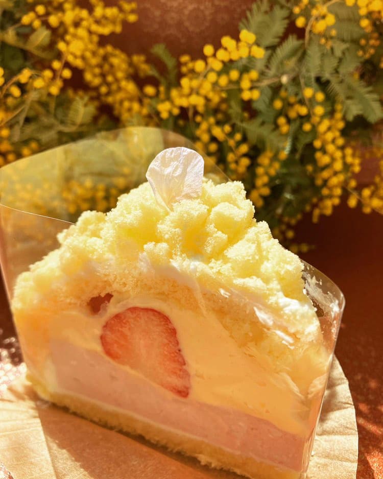 「ミモザ」520円（税込）※提供写真
小さくカットされたスポンジがミモザの花のように見える、イタリアではお馴染みのケーキだそう