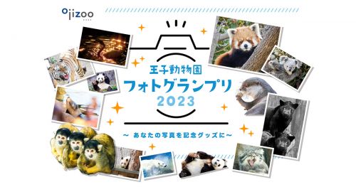 「王子動物園フォトグランプリ2023」参加者募集中　神戸市灘区
