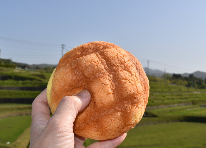 お店の前に広がるのどかな風景 緑がまぶしい！