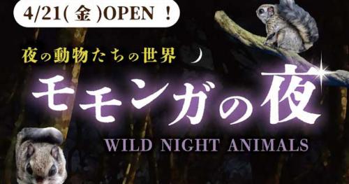 神戸どうぶつ王国に新展示場「モモンガの夜～夜の動物たちの世界～」が登場！神戸市中央区