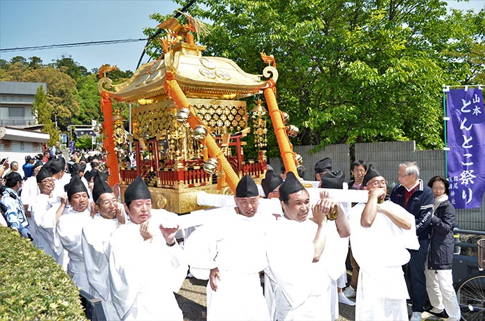 松尾神社で5年に一度の「とんとこ祭り」開催　宝塚市 [画像]