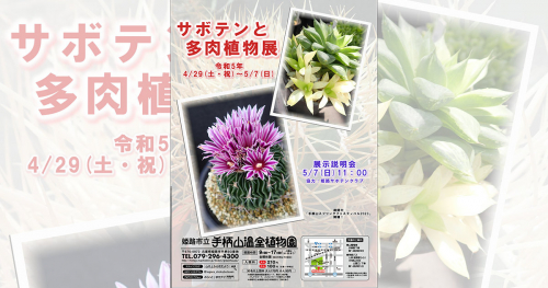 姫路市立手柄山温室植物園で「サボテンと多肉植物展」開催　姫路市