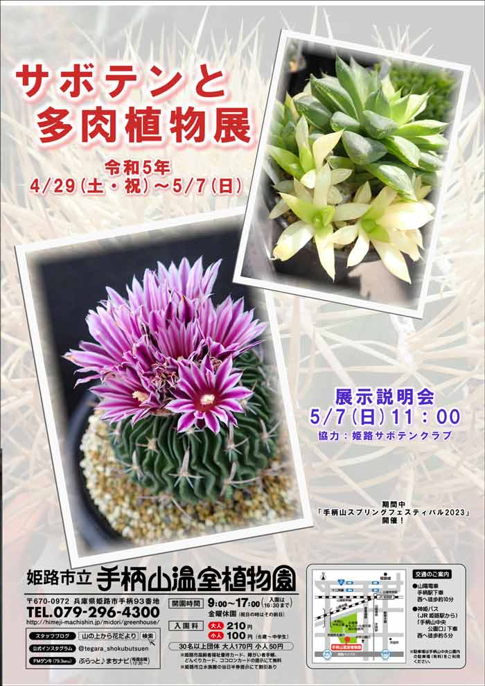 姫路市立手柄山温室植物園で「サボテンと多肉植物展」開催　姫路市 [画像]