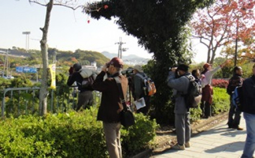 神戸総合運動公園で「野鳥観察」　神戸市須磨区