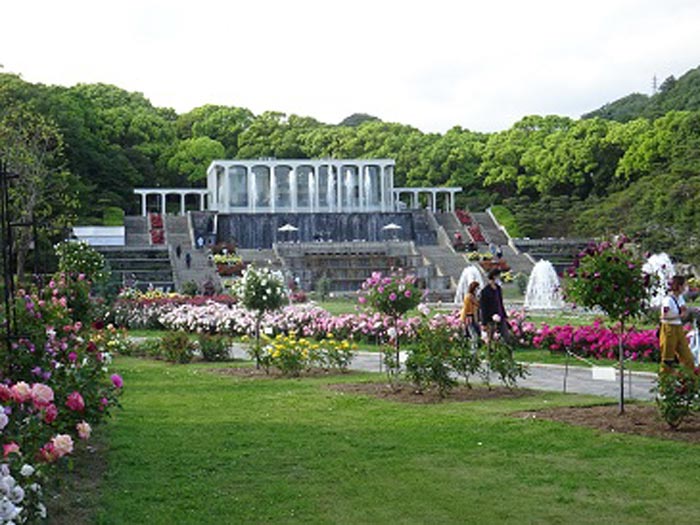 『神戸市立須磨離宮公園』で春のバラが見頃　神戸市須磨区 [画像]