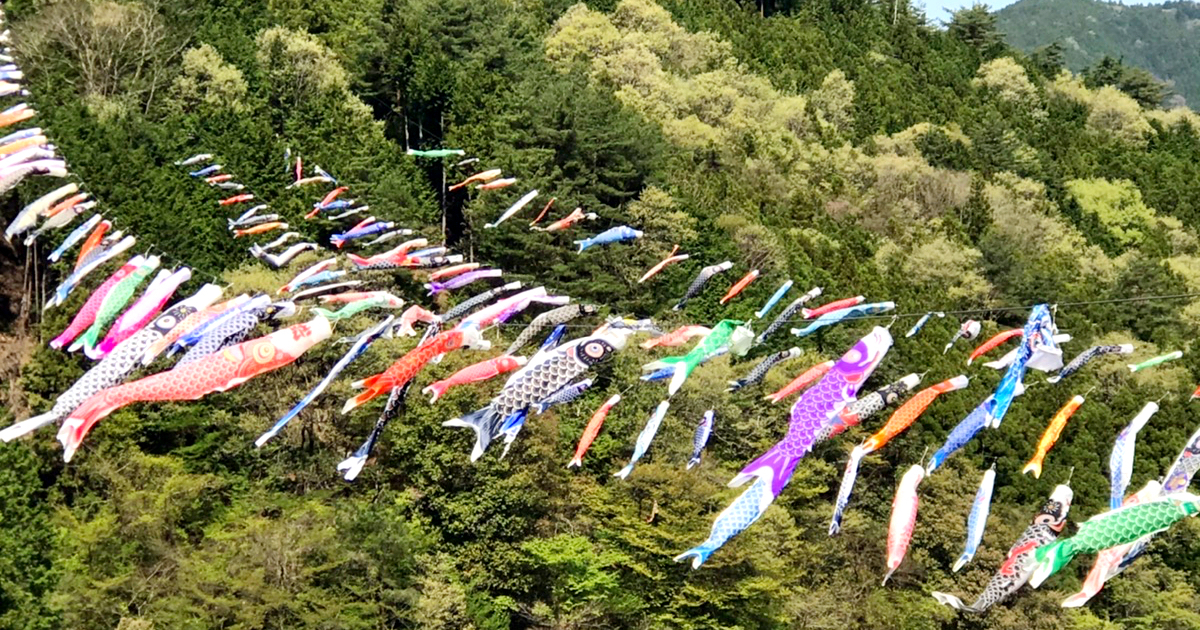 山を泳ぐ500匹の鯉のぼりで春を感じて グリーンエコー笠形「こいのぼり