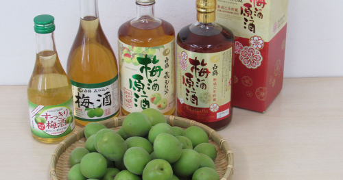 白鶴酒造が「本格梅酒」の仕込みを開始　神戸市東灘区