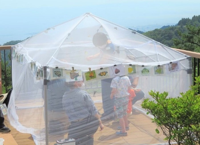 兵庫県立六甲山ビジターセンターで「みんな知っとう？チョウのあれこれ～神戸・六甲山のチョウの魅力～」開催　神戸市灘区 [画像]