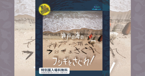 バンドー神戸青少年科学館　夏の特別展「神戸の海のフシギをさぐれ！」神戸市中央区