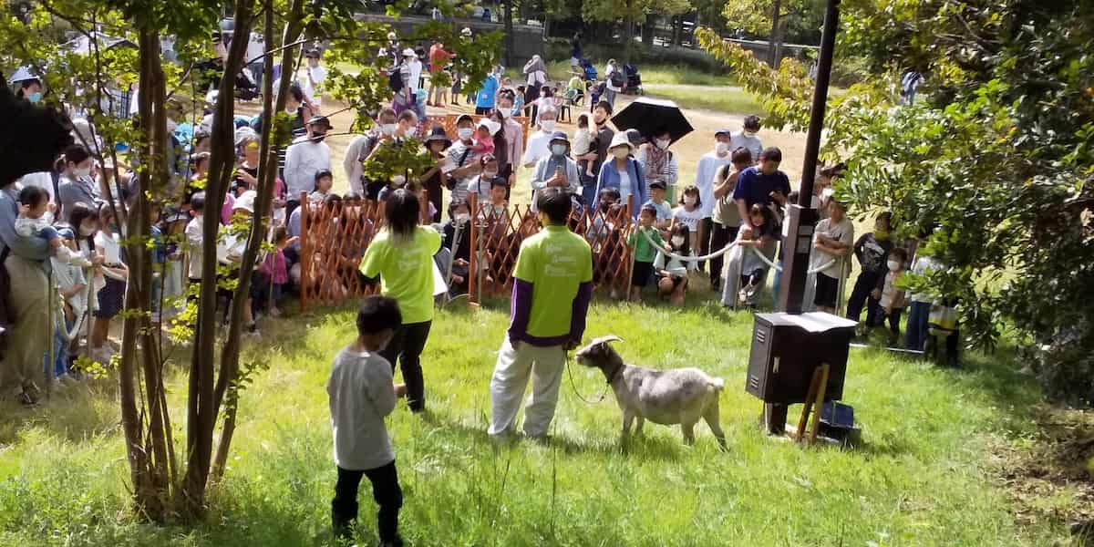 六甲アイランド公園「ヤギと小動物フェスティバル」神戸市東灘区 [画像]
