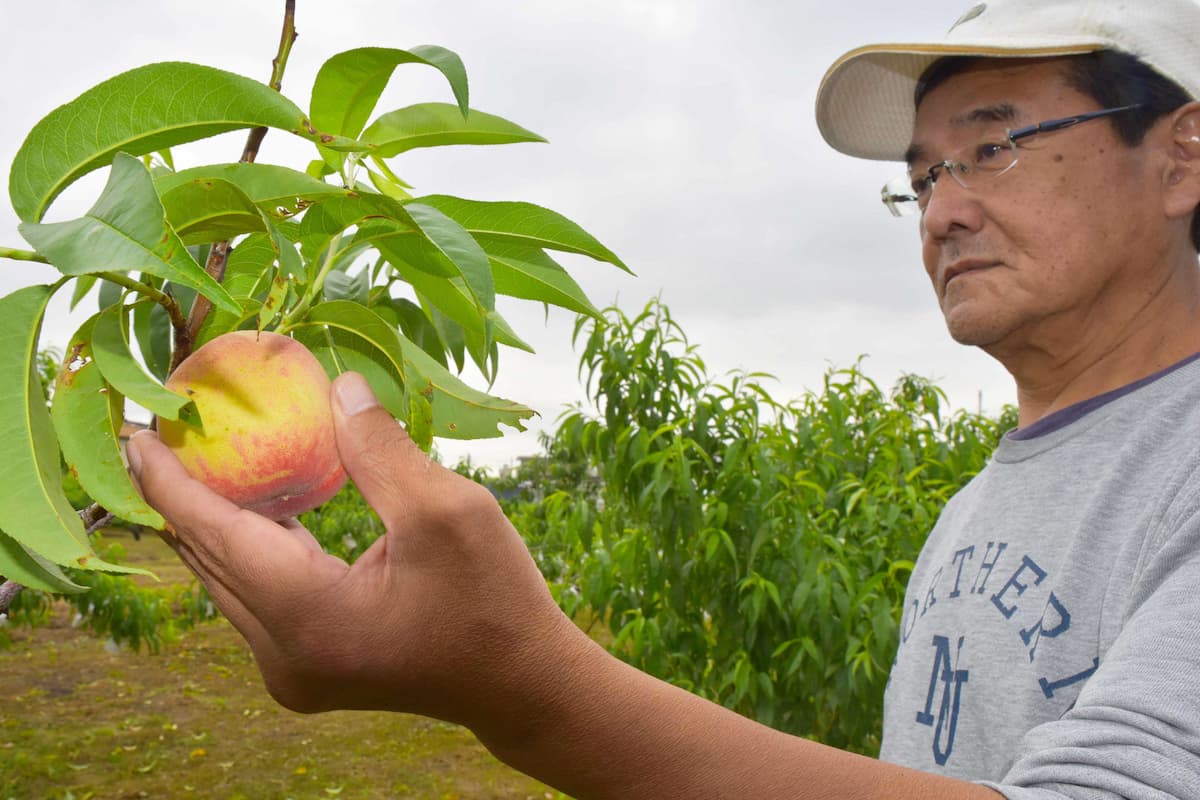 農家の大田雅之さん