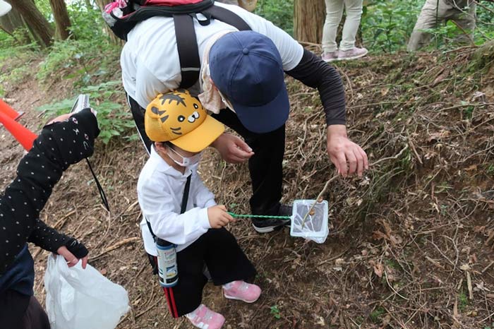 兵庫県立六甲山ビジターセンターで開催「六甲山でセミの抜け殻を調べよう」神戸市灘区 [画像]