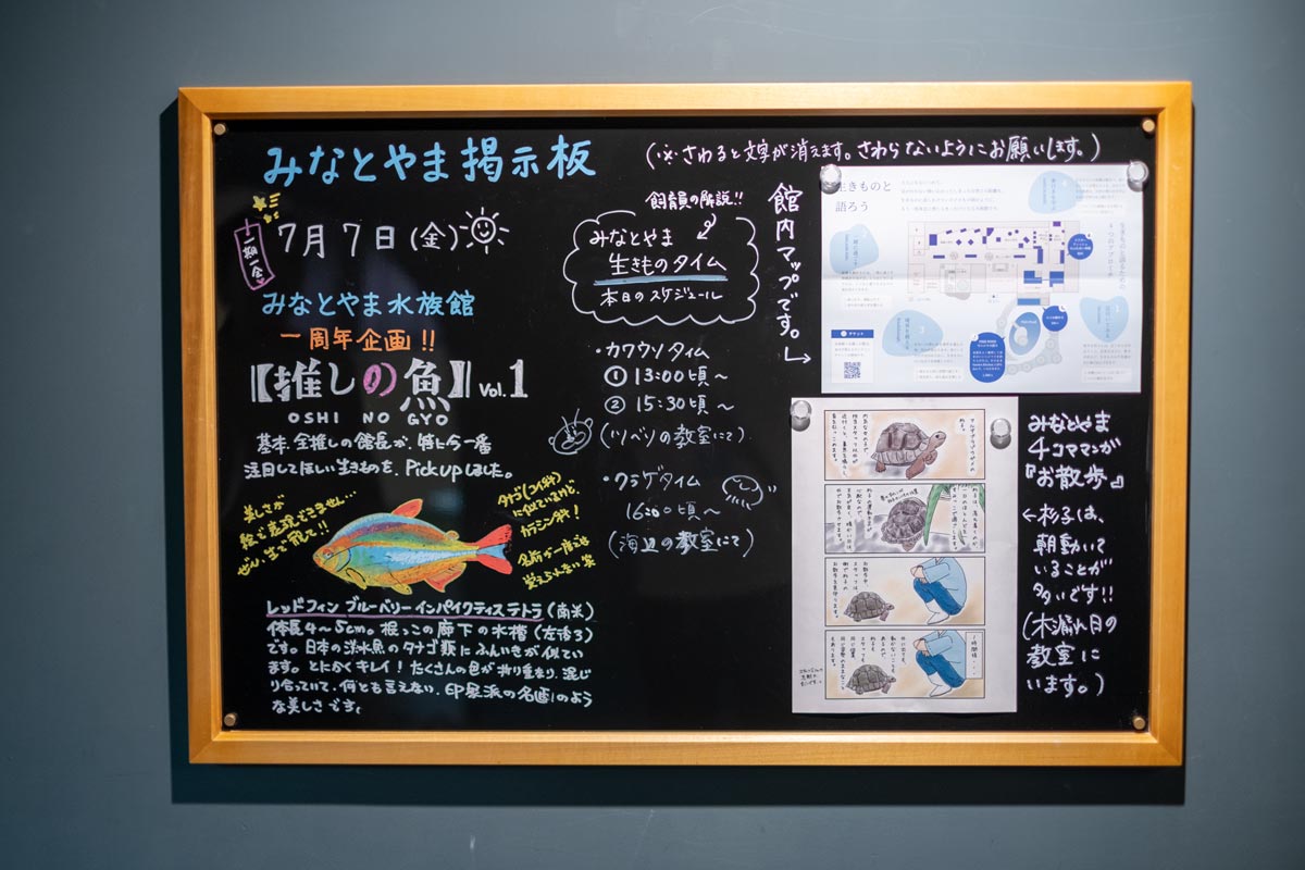 「1周年記念企画展」を開催中の『みなとやま水族館』を訪れてきました　神戸市 [画像]