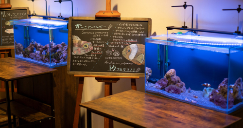 「1周年記念企画展」を開催中の『みなとやま水族館』を訪れてきました　神戸市