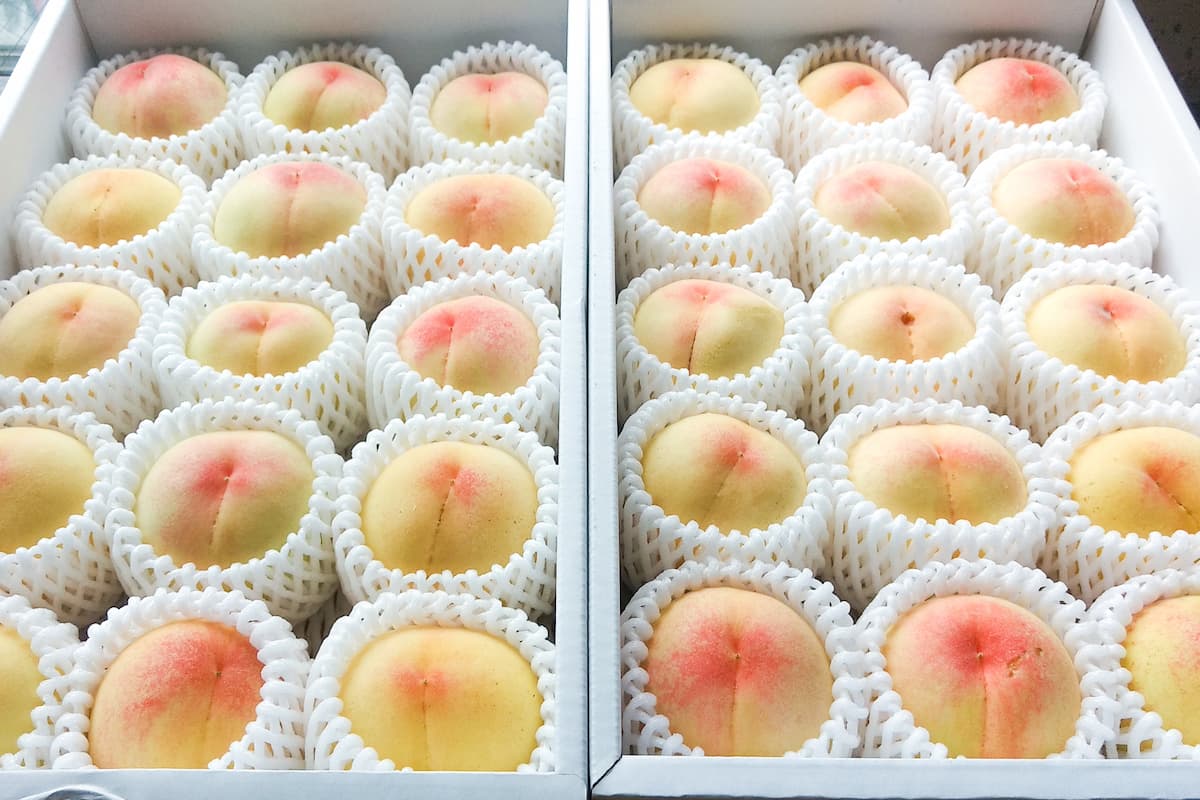 マスターから「岡山の白桃」が届いたと朗報が♪7月中旬から提供予定 ※画像提供：日本茶カフェ一日