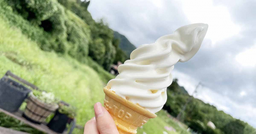 山口町船坂にある北海道ちーずの専門店『ほのか商店』で超濃厚なソフトクリームを食べてきました　西宮市