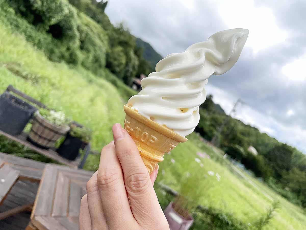 山口町船坂にある北海道ちーずの専門店『ほのか商店』で超濃厚なソフトクリームを食べてきました　西宮市 [画像]
