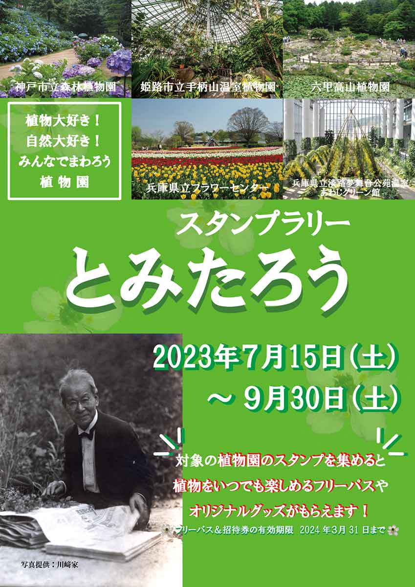 矢田部良吉教授命名の「キレンゲショウマ」が六甲高山植物園で見頃　神戸市灘区　 [画像]