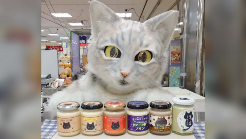 神戸マルイにプリン専門店「坂の上の猫」が期間限定で出店　神戸市