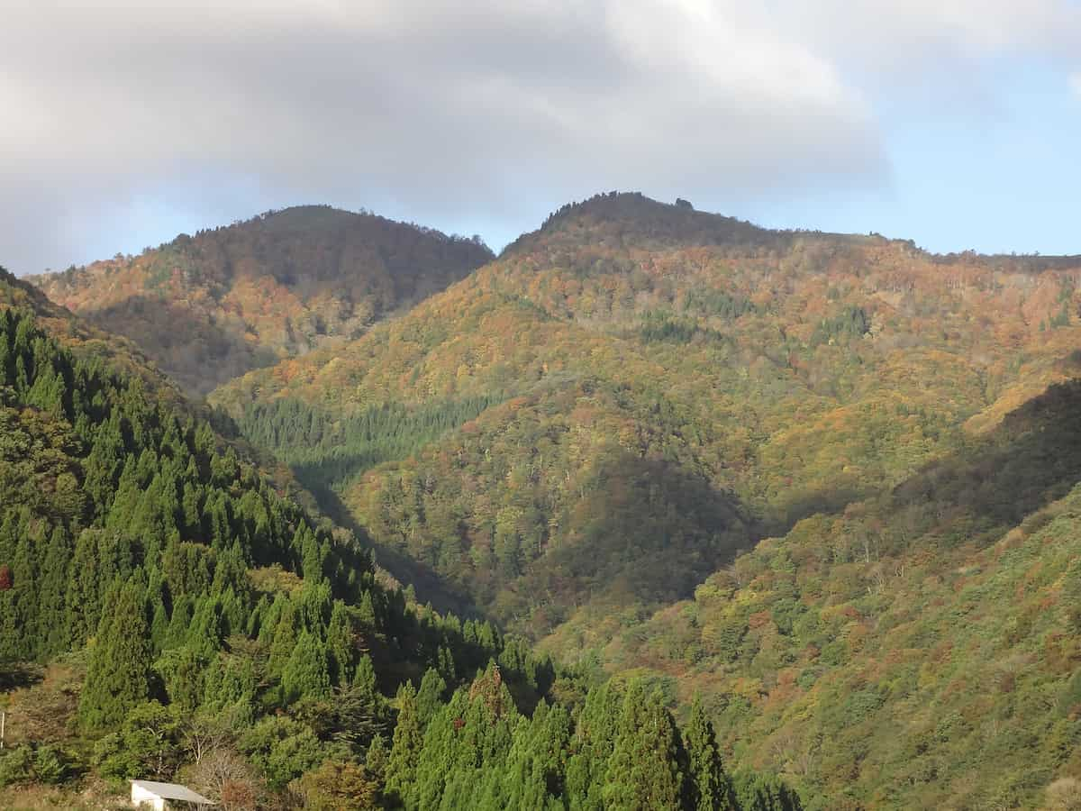 「第32回 氷ノ山紅葉登山フェスティバル」参加者募集　養父市 [画像]