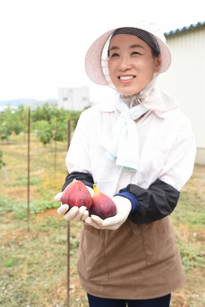 いちじくを栽培している農家の西田穫美さん