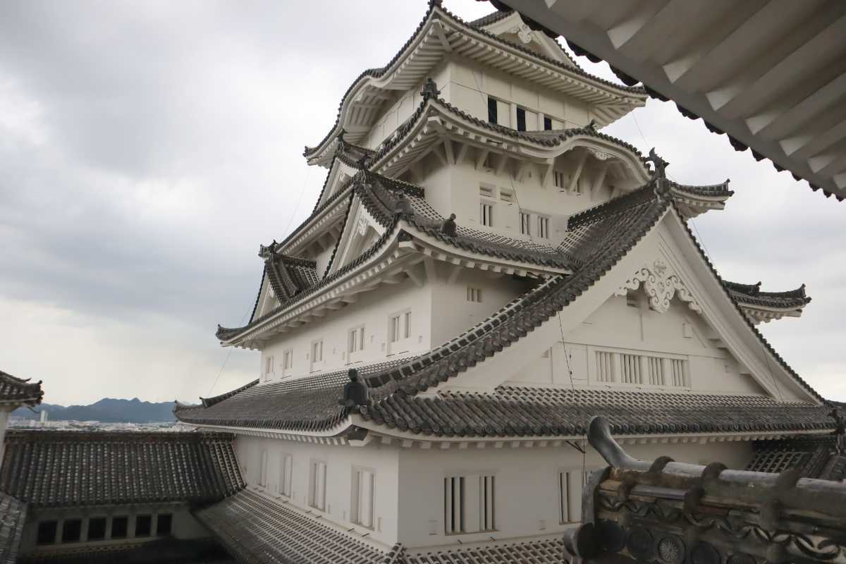 公開は14年ぶり！姫路城の「夏の特別公開」を見てきました　姫路市 [画像]