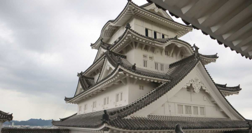公開は14年ぶり！姫路城の「夏の特別公開」を見てきました　姫路市