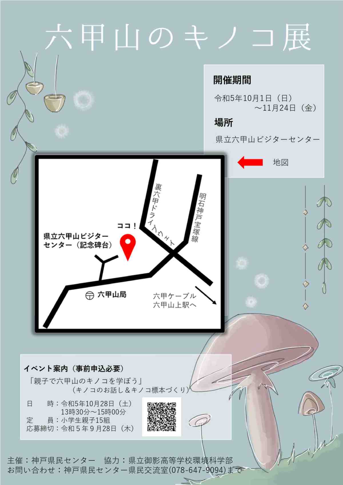 県立六甲山ビジターセンターで企画展「六甲山のキノコ展」開催　神戸市 [画像]