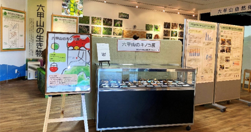 県立六甲山ビジターセンターで企画展「六甲山のキノコ展」開催　神戸市