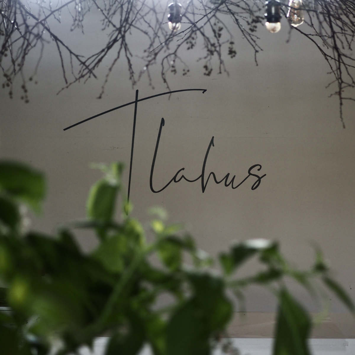 北欧のガーデンスタイルを提案する園芸店『tlahus（トラハス）』が別棟をオープン　三田市 [画像]
