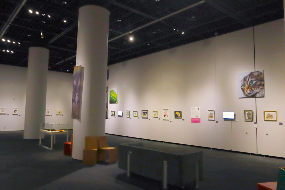 神戸ファッション美術館で開催中の特別展「超・色鉛筆アート展 ～神ワザ12人の彩りスタイル」を見てきました　神戸市 [画像]