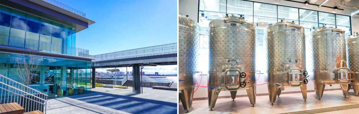 左：Stage Felissimo1F海側にあるf winery[エフワイナリー]　右：ワインを醸造するタンク