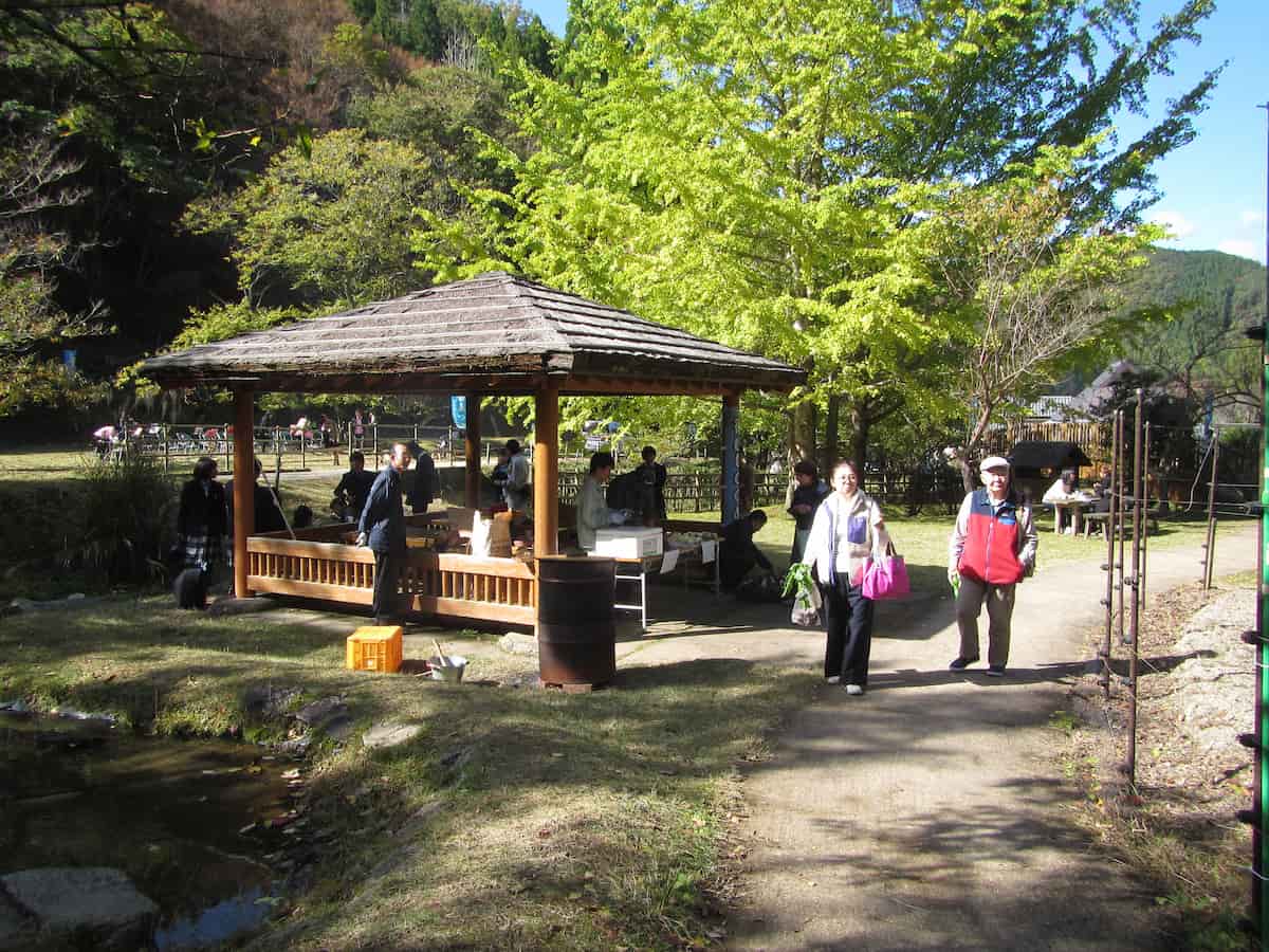 兵庫県立ささやまの森公園で「秋の里山まつり」開催　丹波篠山市 [画像]